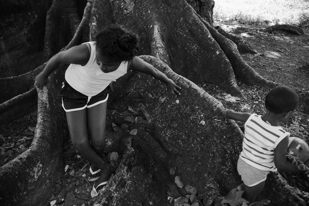Brincadeira ao redor do Iroko (gameleira), no centro cultural afro sítio Pai Adão - Ilê Obá Ogunté em Água Fria, Recife (PE)